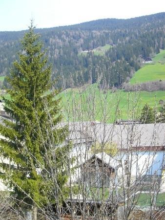 Apartamento Haus Milli San Candido Exterior foto